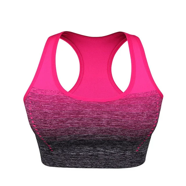 Stretch Sports Bra